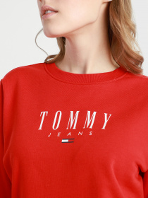 Світшот Tommy Hilfiger модель DW0DW09918-XNL Фото