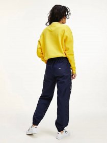 Спортивні штани Tommy Hilfiger модель DW0DW10141-C87 Фото