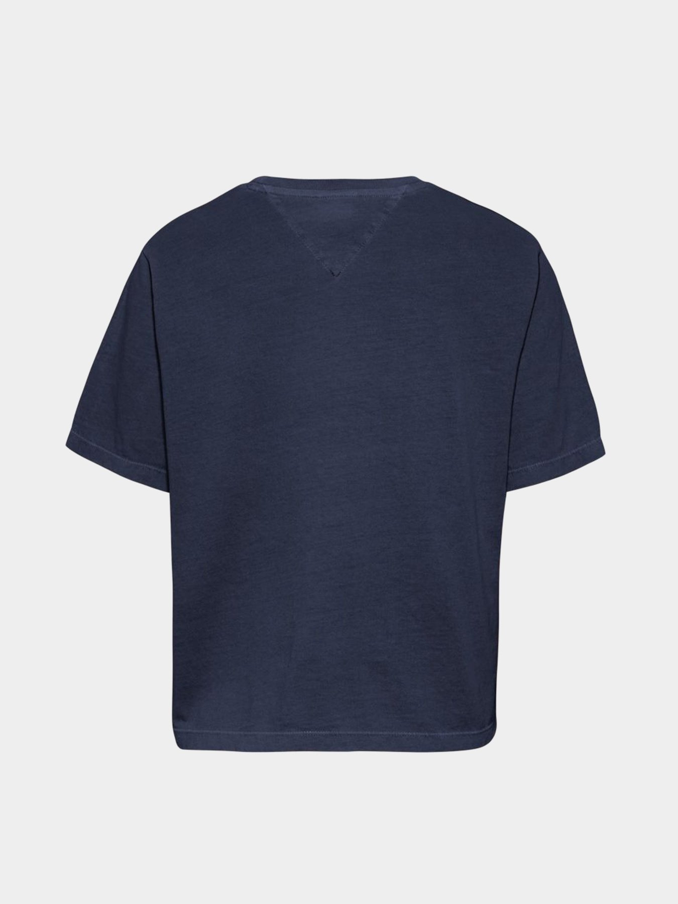 Футболки и поло Tommy Hilfiger модель DW0DW10147-C87 Фото