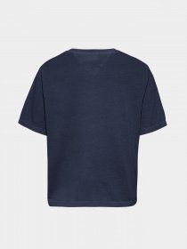 Футболки и поло Tommy Hilfiger модель DW0DW10147-C87 Фото