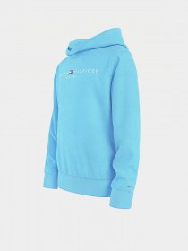 Худи Tommy Hilfiger Essential модель KB0KB05673-CXB Фото
