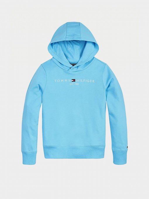 Худі Tommy Hilfiger Essential модель KB0KB05673-CXB Фото