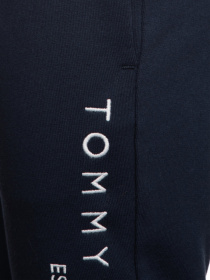 Штаны спортивные Tommy Hilfiger модель KB0KB05753-C87 Фото