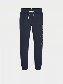 Штаны спортивные Tommy Hilfiger модель KB0KB05753-C87 Фото