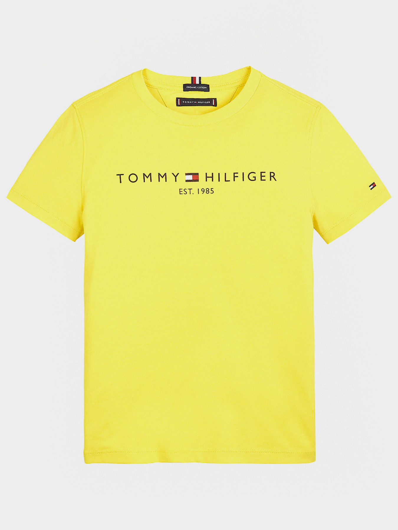 Футболки и поло Tommy Hilfiger ESSENTIAL модель KB0KB05844-LT4 Фото