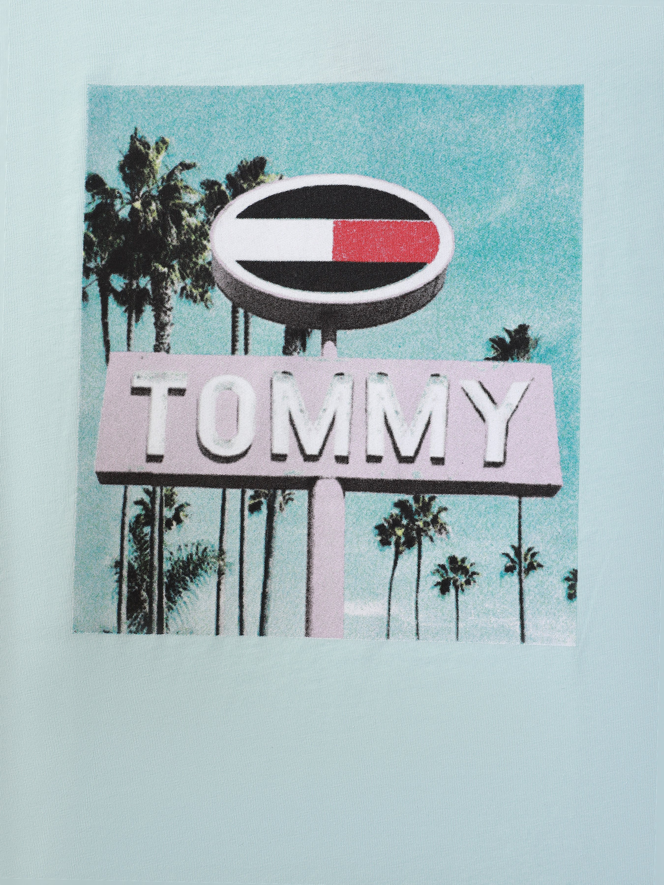 Футболка Tommy Hilfiger модель KB0KB06517-CUT Фото