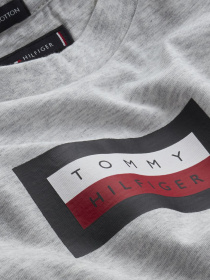 Футболки и поло Tommy Hilfiger модель KB0KB06518-PZ1 Фото