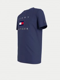 Футболки і поло Tommy Hilfiger модель KB0KB06523-C87 Фото