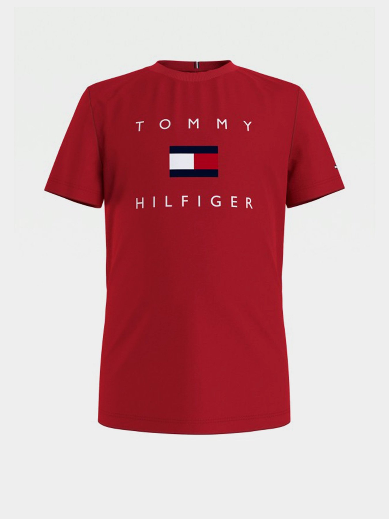 Футболка Tommy Hilfiger модель KB0KB06523-XNL Фото