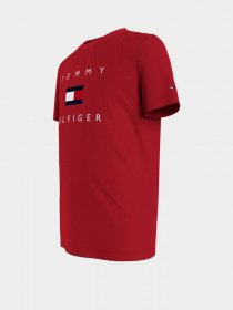 Футболка Tommy Hilfiger модель KB0KB06523-XNL Фото