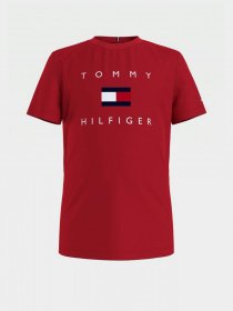 Футболка Tommy Hilfiger модель KB0KB06523-XNL Фото