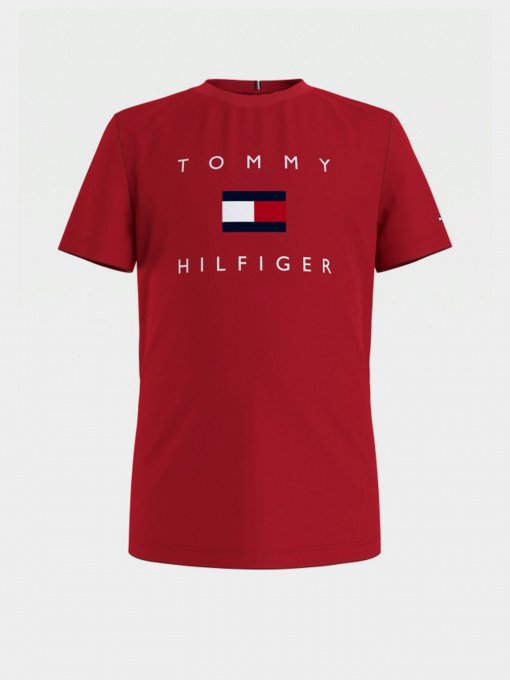 Футболка Tommy Hilfiger модель KB0KB06523-XNL Фото