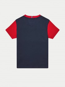 Футболки и поло Tommy Hilfiger модель KB0KB06534-C87 Фото