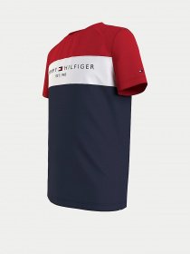 Футболки и поло Tommy Hilfiger модель KB0KB06534-C87 Фото