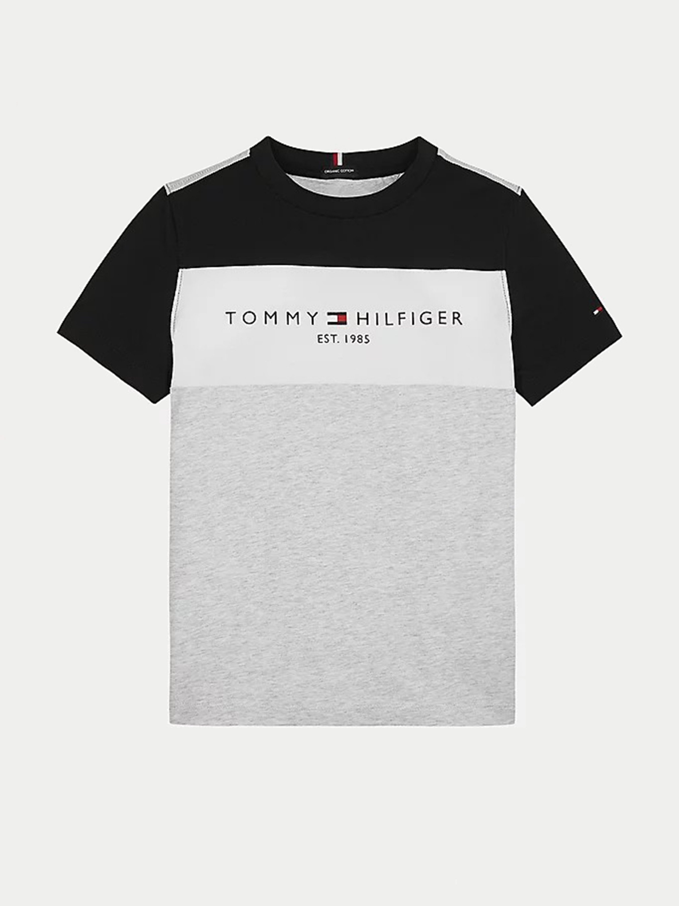 Футболки и поло Tommy Hilfiger модель KB0KB06534-PZ1 Фото