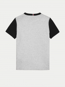 Футболки и поло Tommy Hilfiger модель KB0KB06534-PZ1 Фото