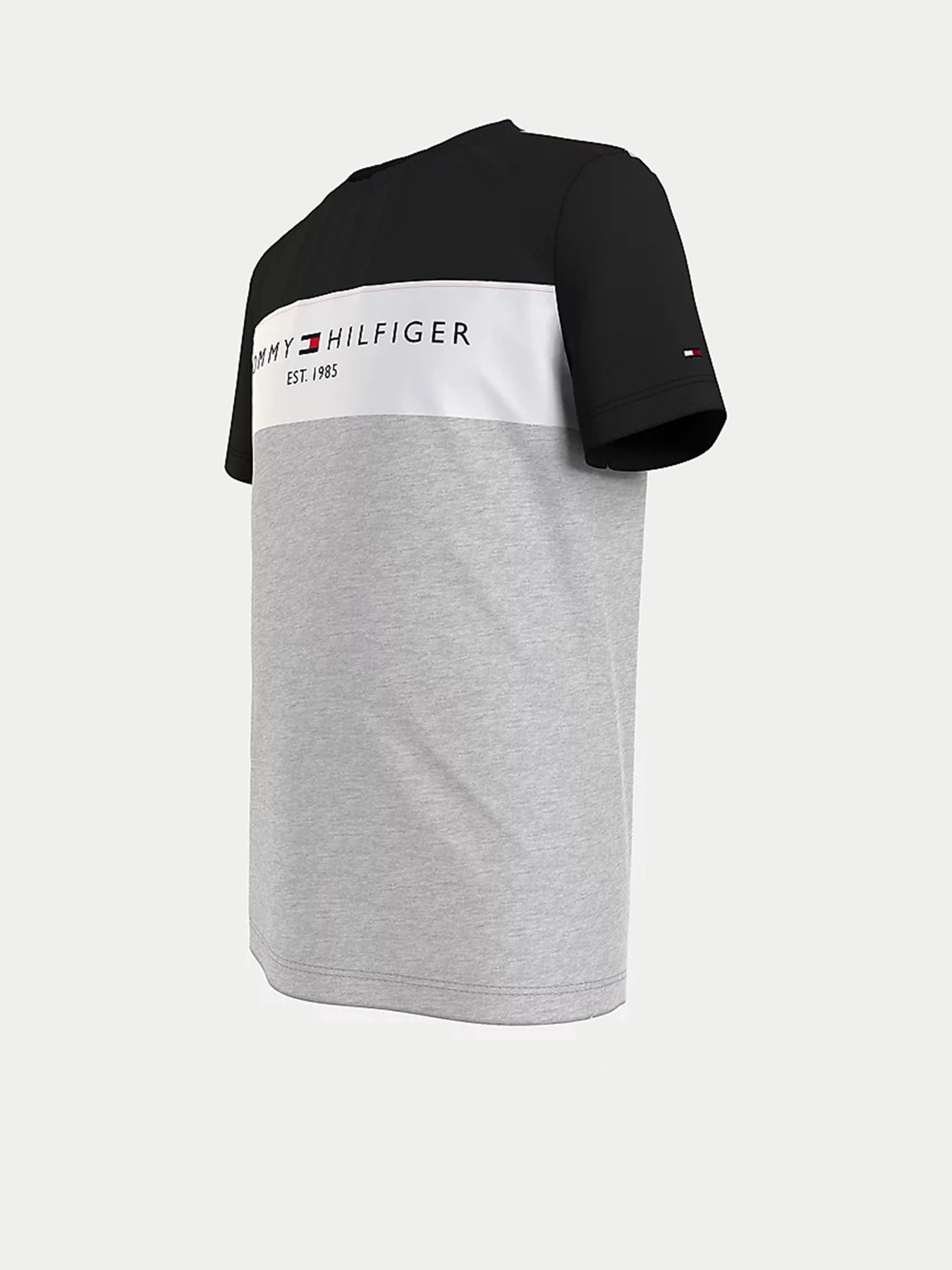 Футболки и поло Tommy Hilfiger модель KB0KB06534-PZ1 Фото