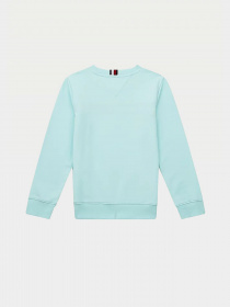 Свитшот Tommy Hilfiger модель KB0KB06568-CUT Фото
