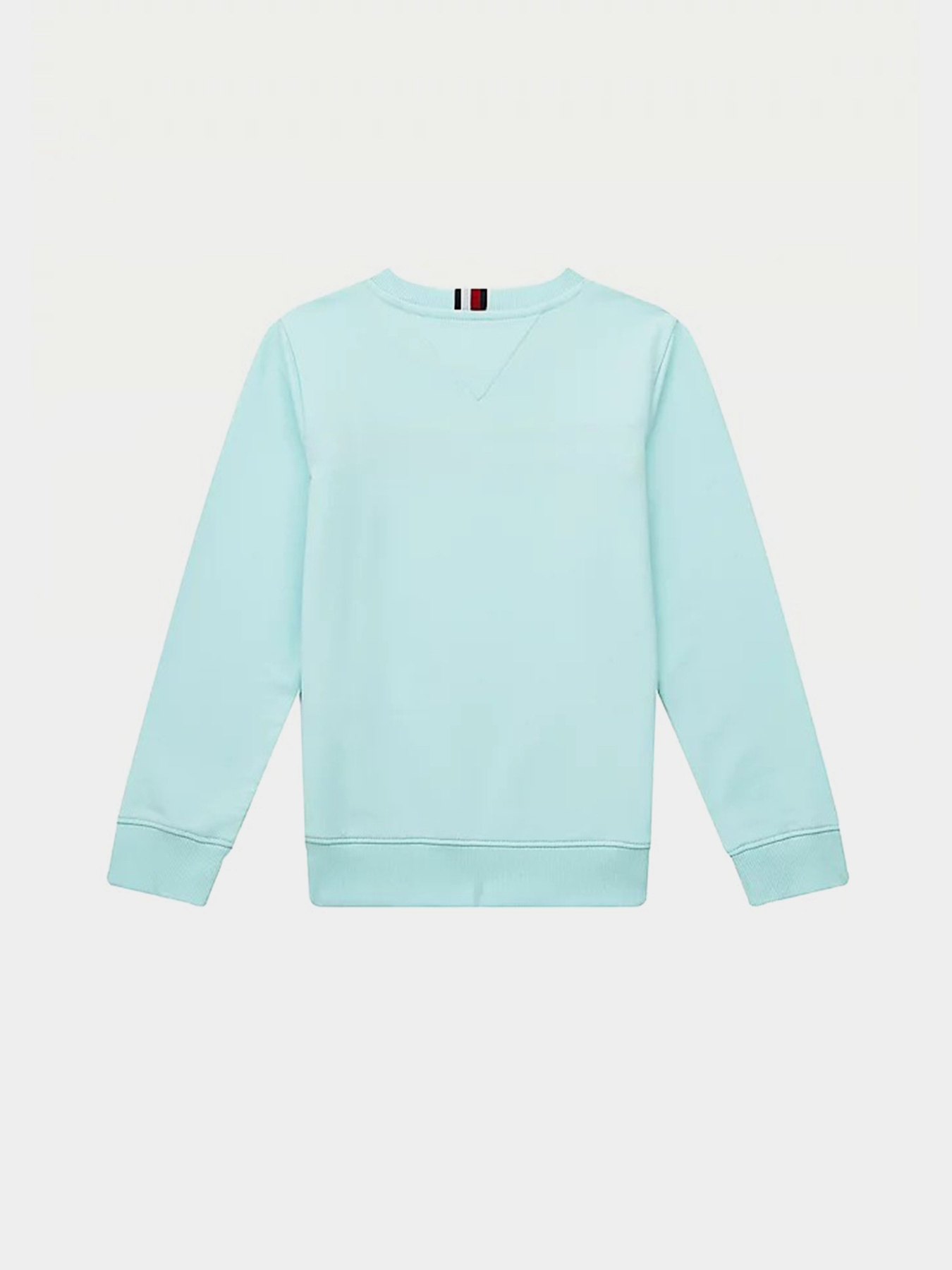 Світшот Tommy Hilfiger модель KB0KB06568-CUT Фото