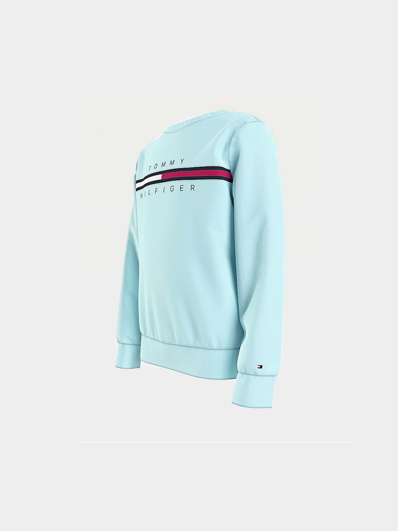 Світшот Tommy Hilfiger модель KB0KB06568-CUT Фото