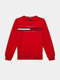 Світшот Tommy Hilfiger модель KB0KB06568-XNL Фото