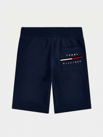 Шорты Tommy Hilfiger COOL модель KB0KB06597-C87 Фото
