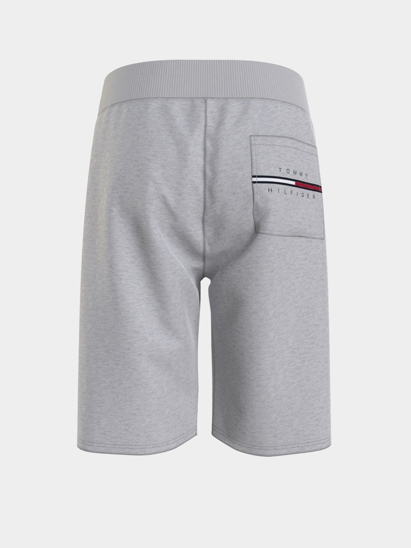 Повседневные шорты Tommy Hilfiger COOL модель KB0KB06597-PZ1 Фото