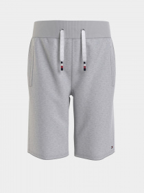 Повседневные шорты Tommy Hilfiger COOL модель KB0KB06597-PZ1 Фото