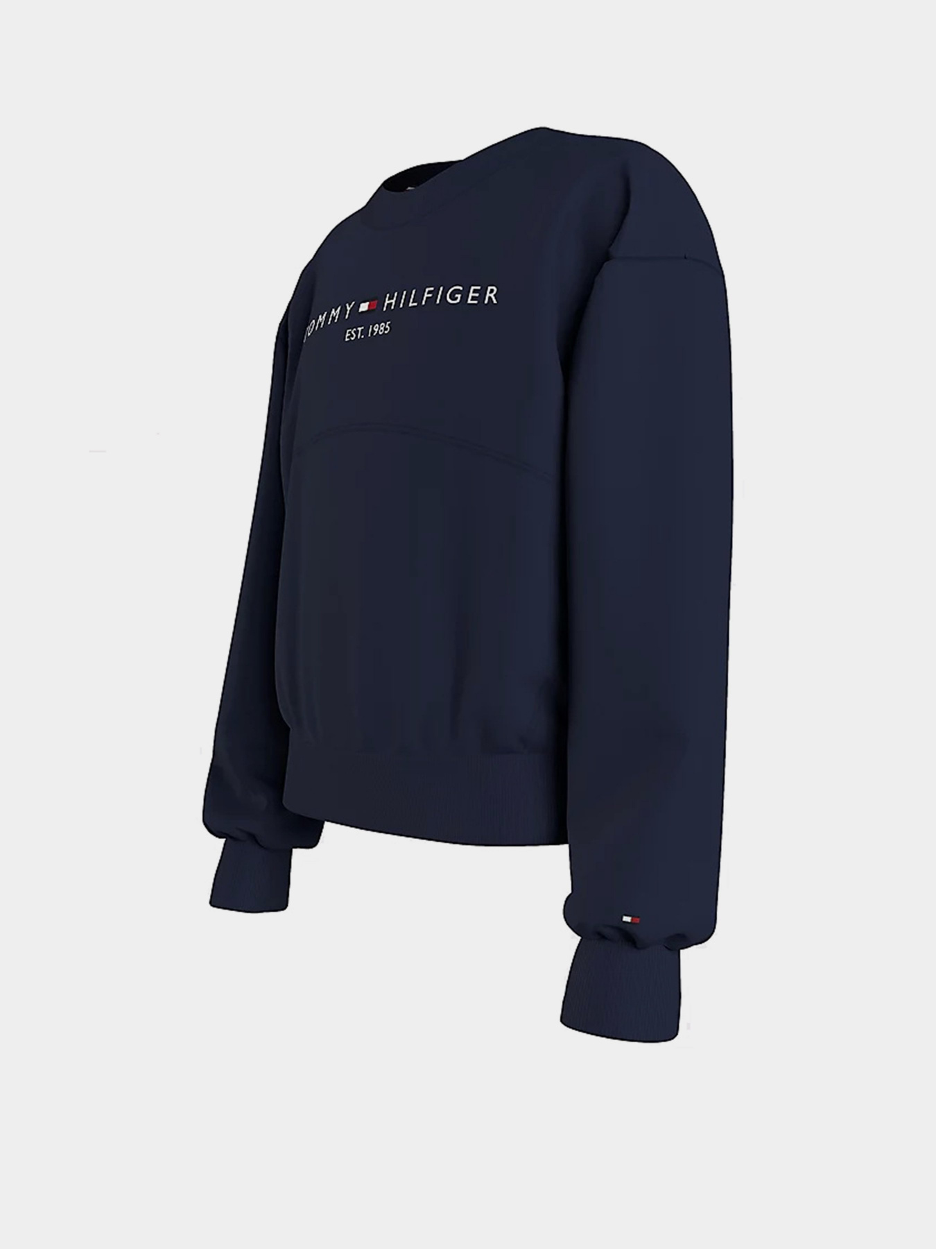 Свитшот Tommy Hilfiger модель KG0KG05764-C87 Фото