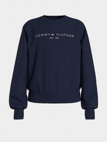 Свитшот Tommy Hilfiger модель KG0KG05764-C87 Фото