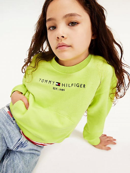 Свитшот Tommy Hilfiger модель KG0KG05764-LT3 Фото