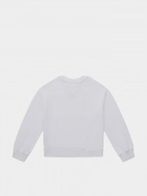 Світшот Tommy Hilfiger модель KG0KG05764-YBR Фото