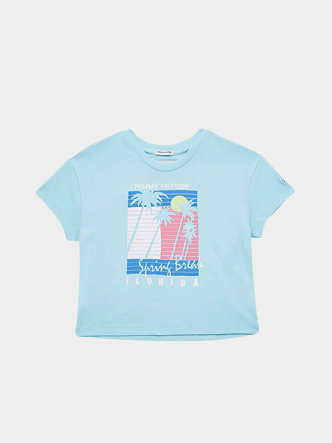 Футболка Tommy Hilfiger модель KG0KG05869-CUT Фото