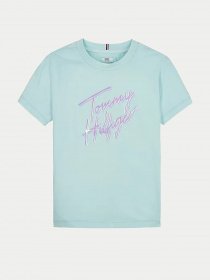 Футболка Tommy Hilfiger модель KG0KG05870-CUT Фото