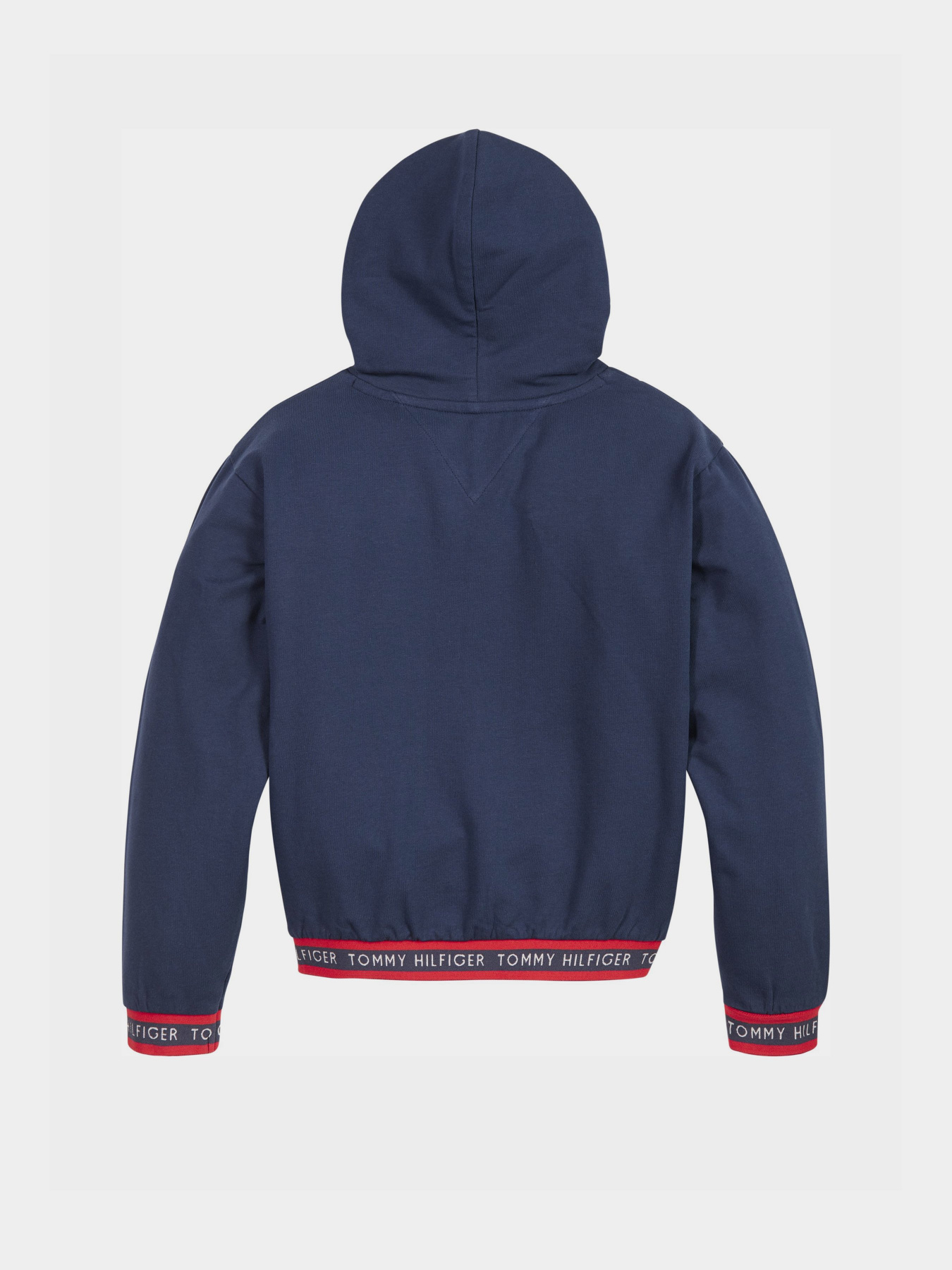 Худи Tommy Hilfiger модель KG0KG05887-C87 Фото