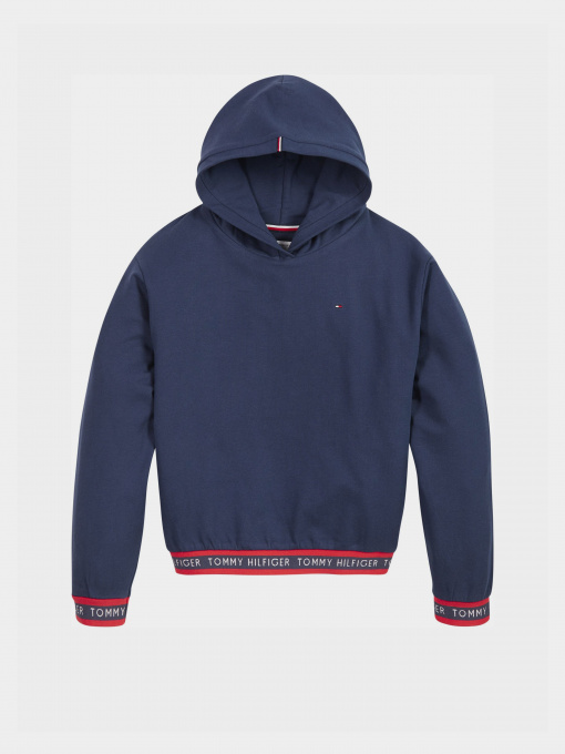 Худи Tommy Hilfiger модель KG0KG05887-C87 Фото