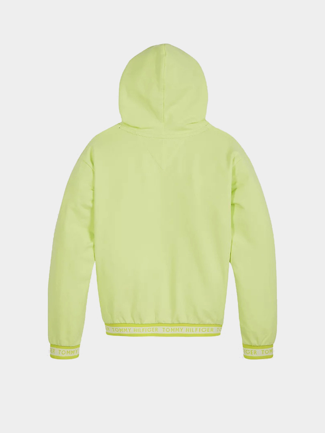 Худи Tommy Hilfiger модель KG0KG05887-LT3 Фото