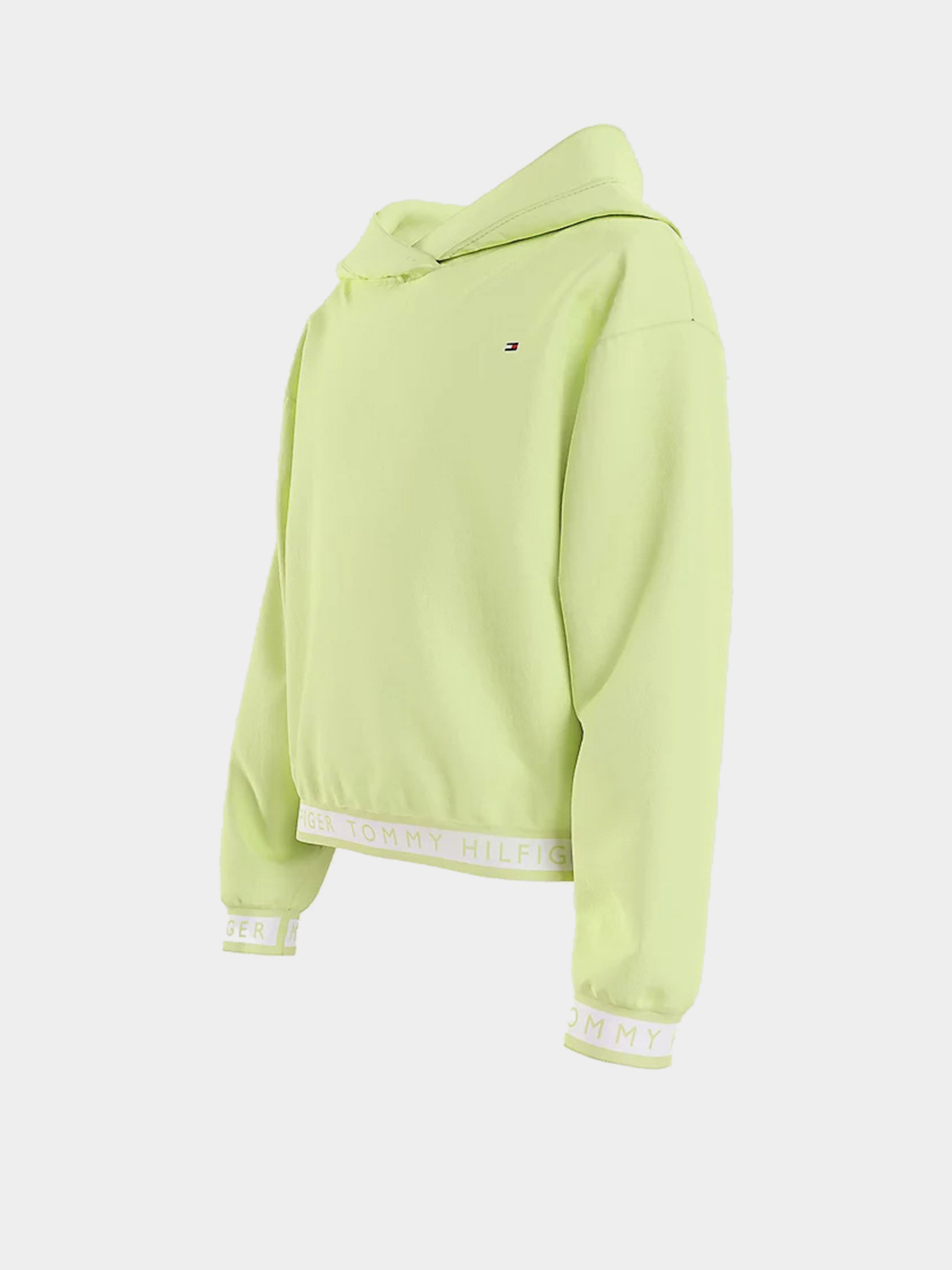 Худи Tommy Hilfiger модель KG0KG05887-LT3 Фото