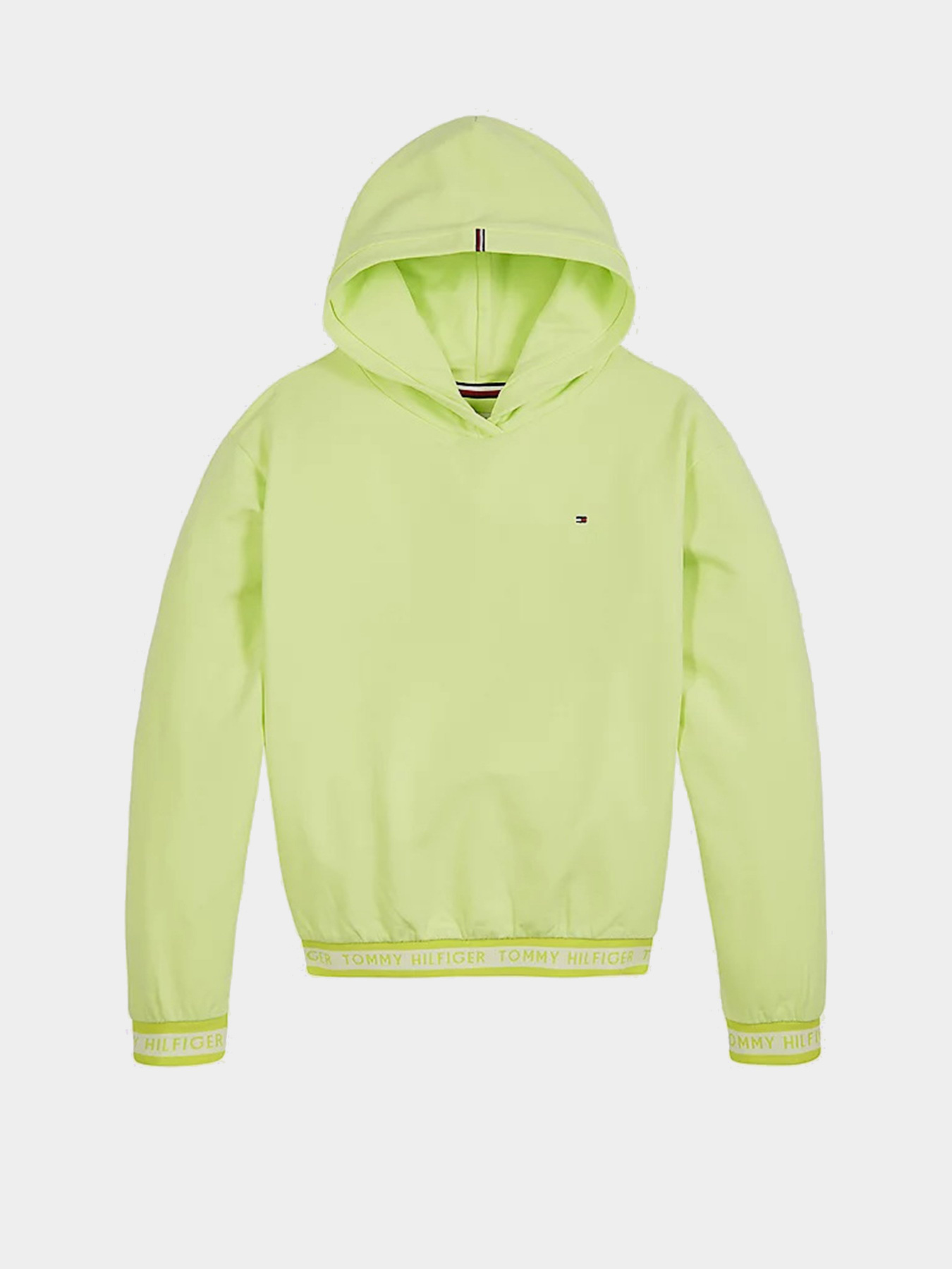 Худи Tommy Hilfiger модель KG0KG05887-LT3 Фото