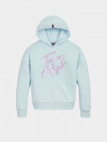 Худи Tommy Hilfiger SIGNATURE модель KG0KG05891-CUT Фото