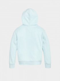 Худи Tommy Hilfiger SIGNATURE модель KG0KG05891-CUT Фото