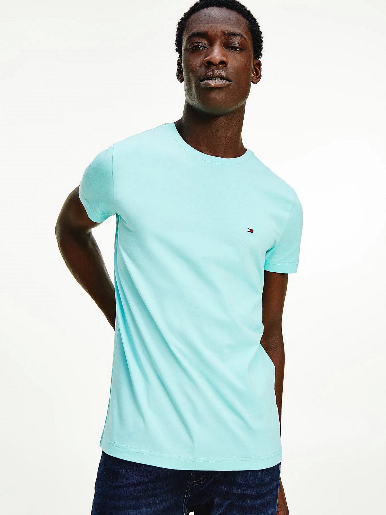 Футболки і поло Tommy Hilfiger модель MW0MW10800-L62 Фото