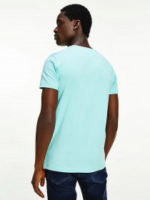 Футболки і поло Tommy Hilfiger модель MW0MW10800-L62 Фото