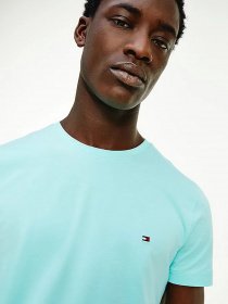 Футболки і поло Tommy Hilfiger модель MW0MW10800-L62 Фото