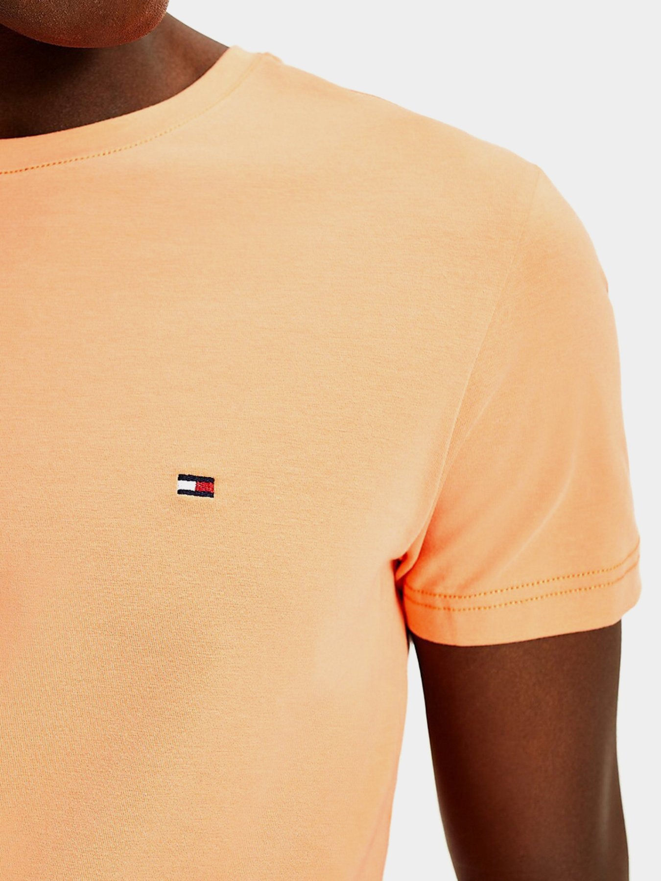 Футболки и поло Tommy Hilfiger модель MW0MW10800-SO2 Фото