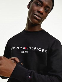 Свитшот Tommy Hilfiger модель MW0MW11596-BDS Свитшот Tommy Hilfiger модель MW0MW11596-BDS Фото