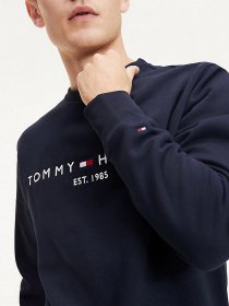 Світшот Tommy Hilfiger модель MW0MW11596-L6N Фото