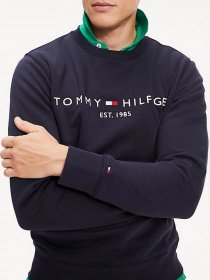 Світшот Tommy Hilfiger модель MW0MW11596-L6N Фото