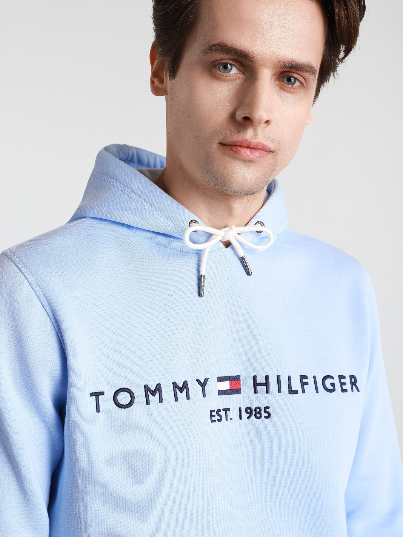 Худи Tommy Hilfiger модель MW0MW11599-C3Q Фото