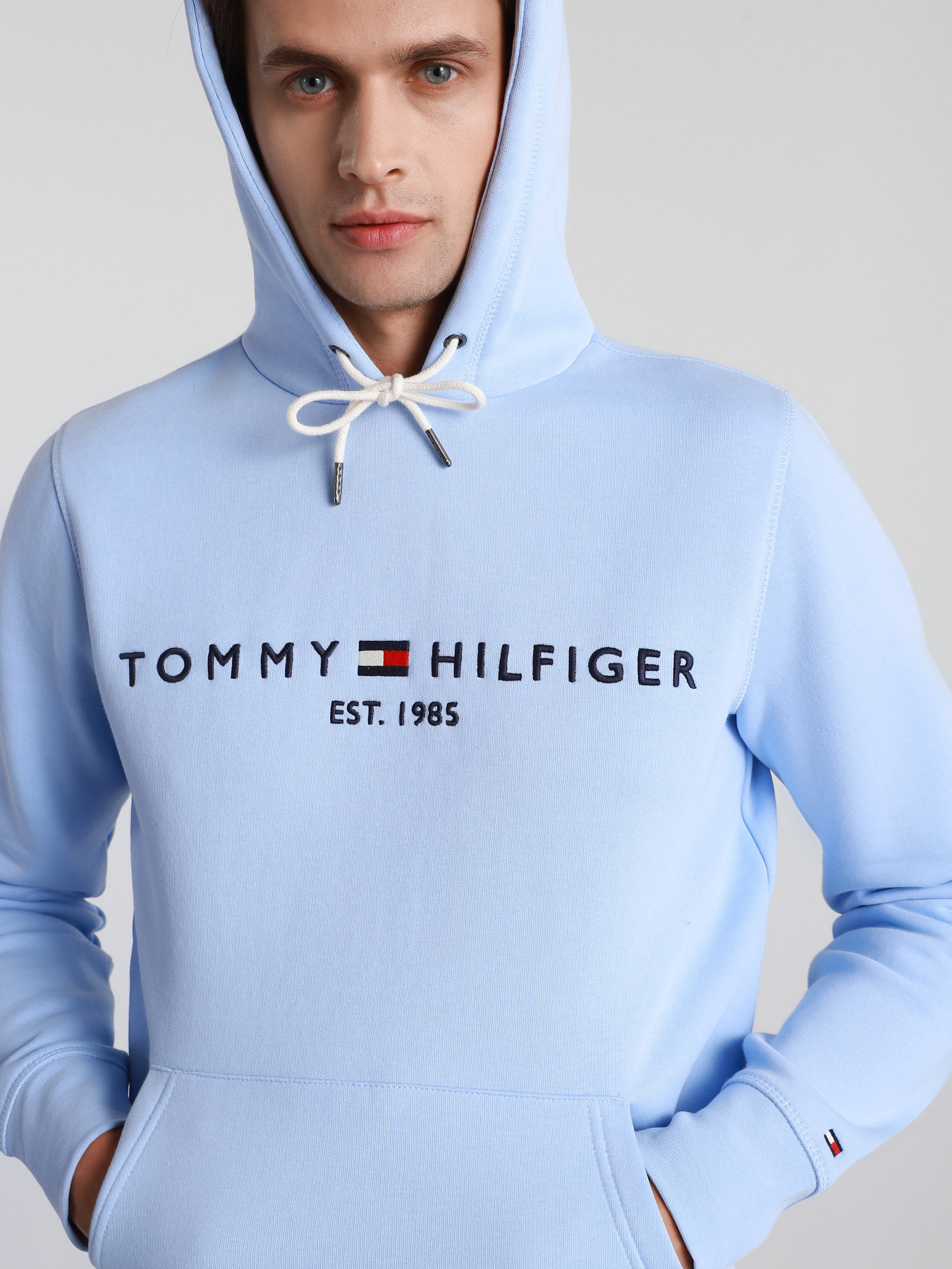 Худи Tommy Hilfiger модель MW0MW11599-C3Q Фото